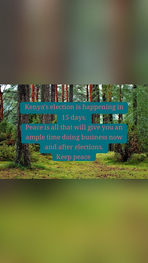 Kenya's election is happening in 15 days.
Peace is all that will give you an ample time doing business now and after elections.
Keep peace 